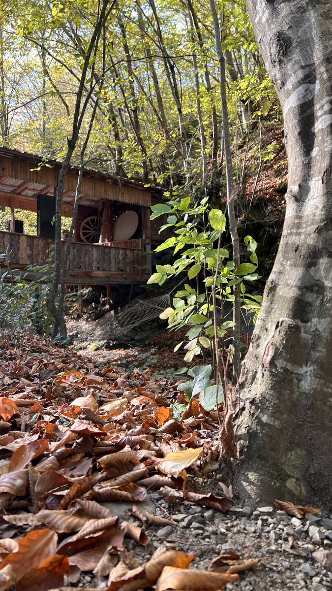 CANAN (@canannars) on Twitter photo 