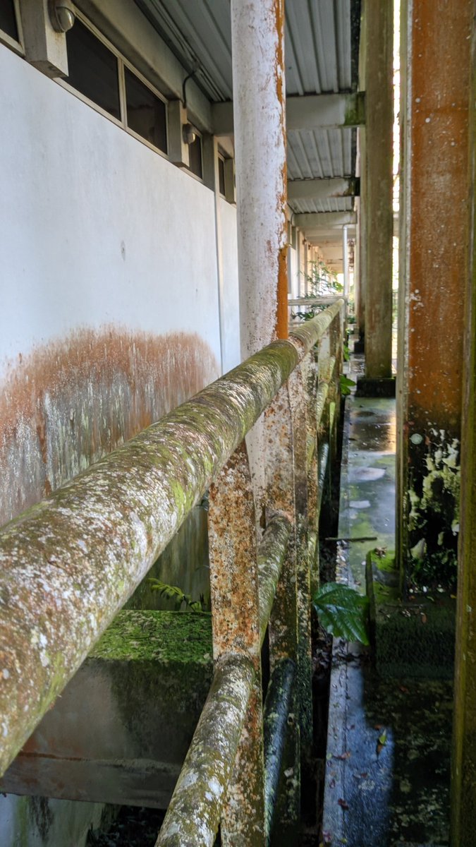 andyvaloz's tweet image. Estaba por el Pabellón de Biología Celular y es todo un espacio liminal y tétrico. De película de terror.