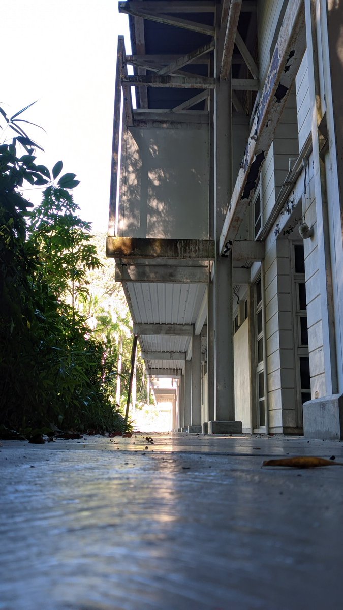 andyvaloz's tweet image. Estaba por el Pabellón de Biología Celular y es todo un espacio liminal y tétrico. De película de terror.