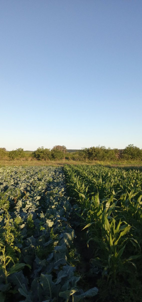 Mi trabajo mi orgullo🙂