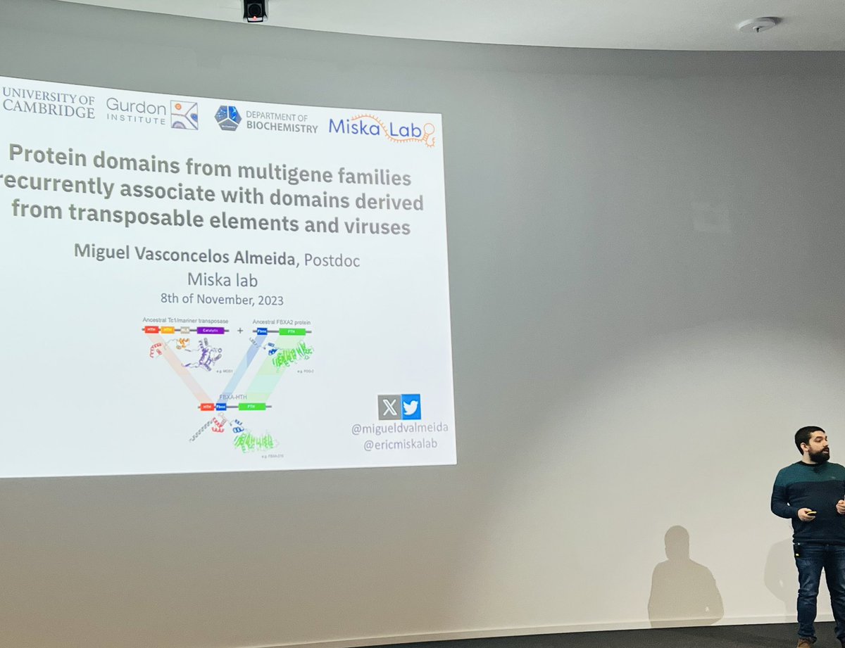 Miguel from @ericmiskalab delivering the firing presentation of Tc1 mariner transposases in the 🪱 🐛 worms physiology of germ granules #EMBOMobileGenome