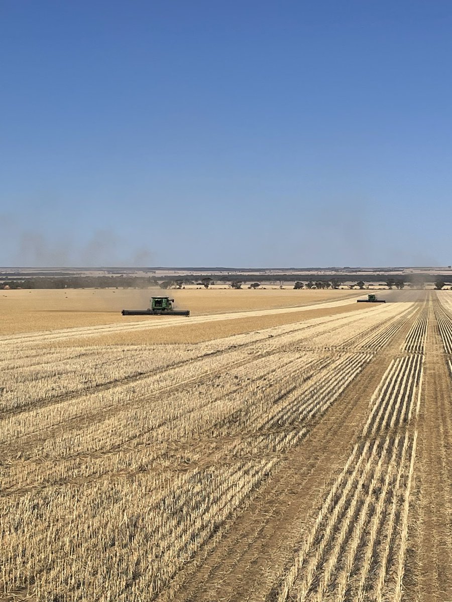 Stuart Putt tweet media