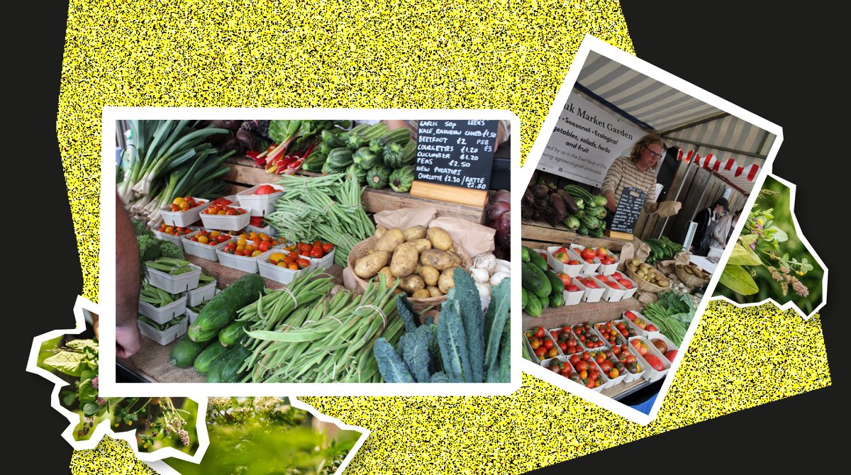 Meet @eastneukmarketgarden 🌽🥕🍆🥔🍐

This small scale agroecological farm grows over 50 varieties of vegetables, salads, herbs and fruit in Fife, and is one of the circular businesses at Balcaskie &amp; @bowhousefife; an example of #pitchup in practice. balcaskie.com/business/east-…