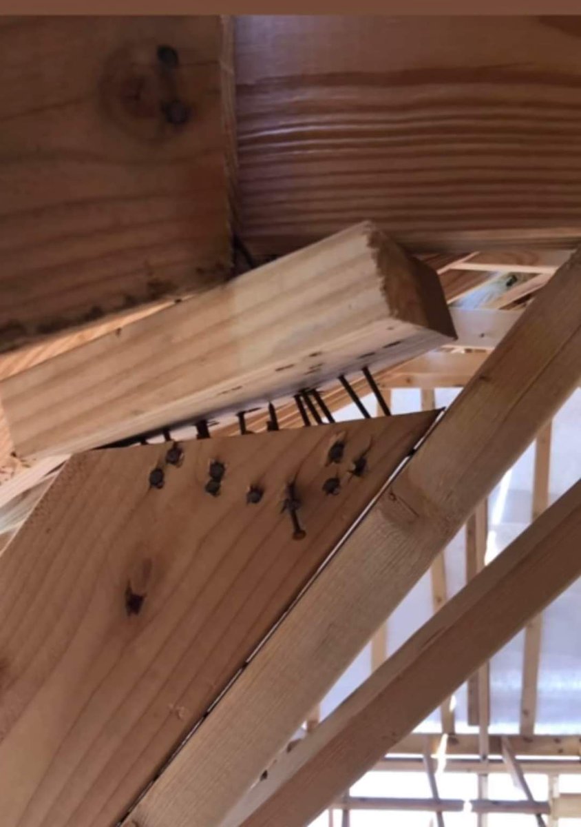 NosArtisansODT's tweet photo. #nosartisansontdutalent
Le #charpentier ni vu ni connu ...
#Construction #maison #neuve https://t.co/8VkQgUVlb7