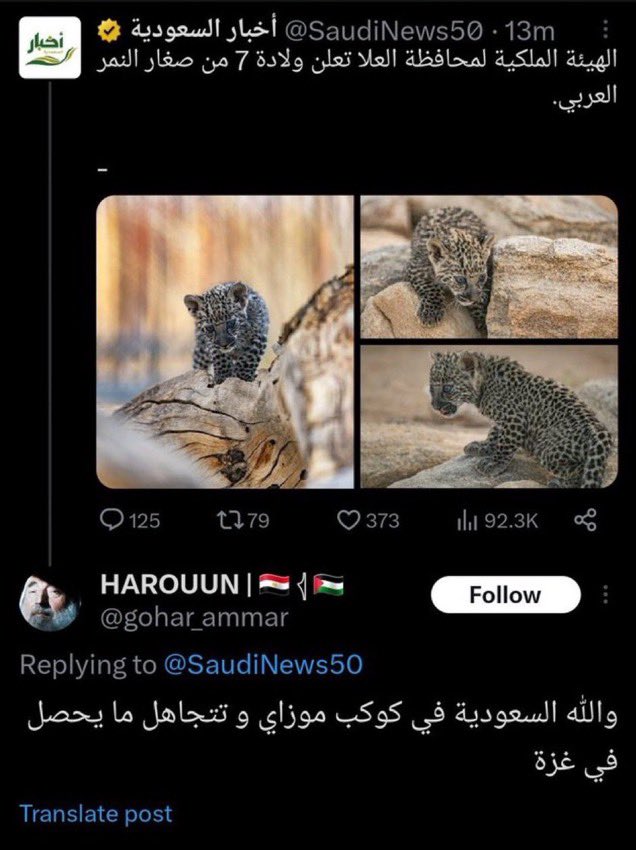 حسين الغاوي tweet media