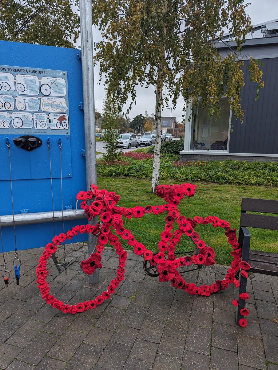 RoyalVolService's tweet photo. Our team have been busy expanding last year’s poppy display at Stirling Community Hospital, as they get ready for their tea party event tomorrow 😀 

All poppies hand-knitted and donated by the local community to create a welcoming and decorative space for this #RemembranceDay. https://t.co/fLzII6B0yr