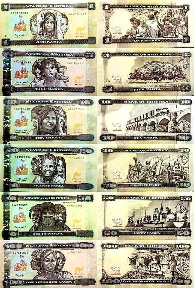 Sharronyemane's tweet photo. The national currency of #Eritrea is the Nakfa. It was introduced in 26 years ago and has been named after the town of #NAKFA the town in the Sahel mountains that served as the headquarters of the #EPLF during Eritrea's armed struggle against Ethiopian occupation, and so both Nakfa's became a symbol 
of Eritrea's hard-fought-for independence. probably the only town/city in the world with National Currency named after it. Nakfa represents what we believe and what we are. #ERITREA #NAKFA 🇪🇷