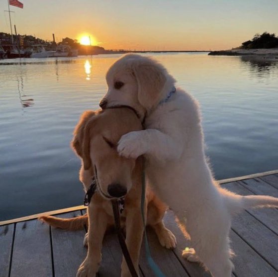 Runtrezsxjupza's tweet image. ขอ อม หัวหน่อยนะภูริ😉