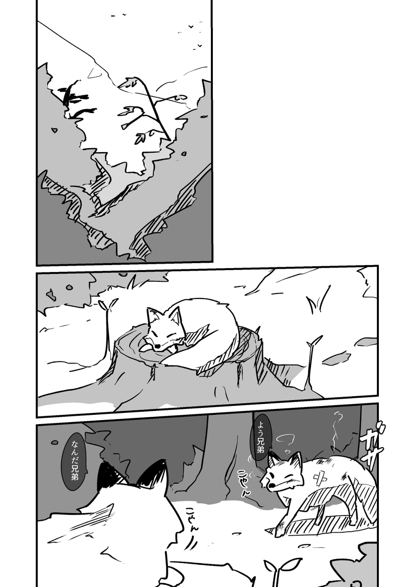 (2/3) 