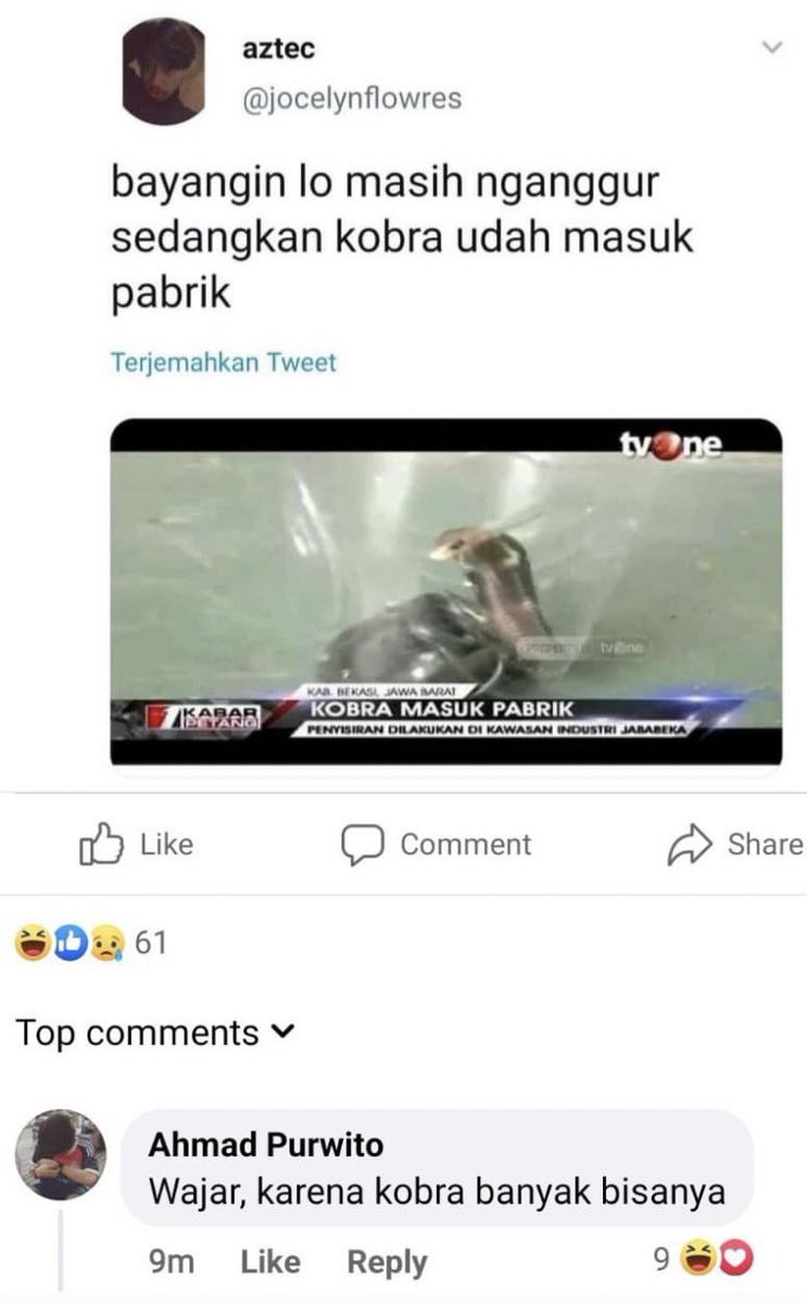 mikey tweet media