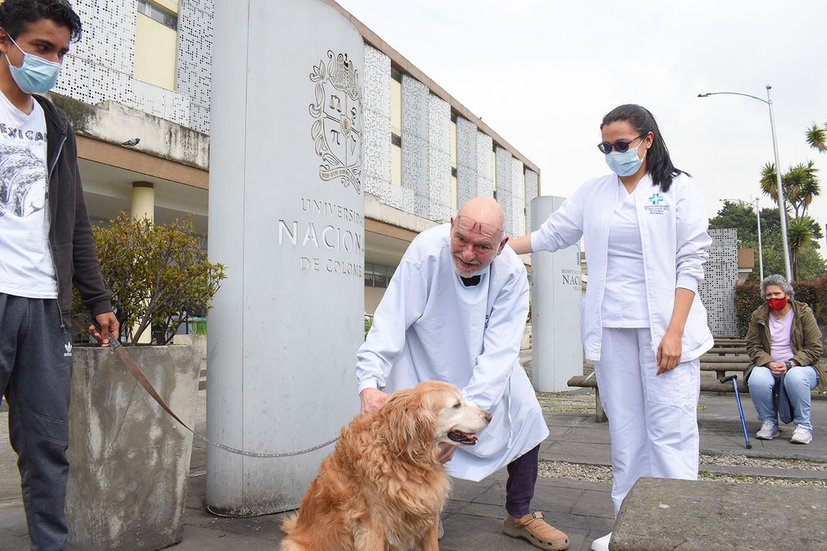 #AgenciaUNAL | Mascotas, aliadas en la recuperación de pacientes en UCI.  El <a href="/HospitalUNAL/">Hospital Universitario Nacional de Colombia</a> es pionero en esta innovadora forma de terapia a través del programa “Huellas que sanan”, un ejemplo destacado de humanización en salud.📷goo.su/S7Qg
 #salud  | #SomosUNAL