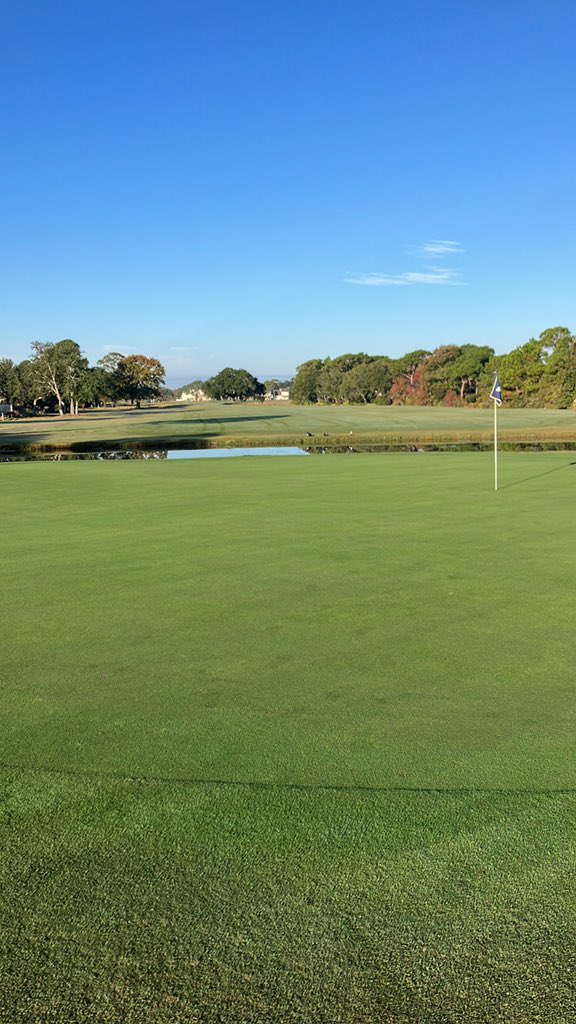Tiger Point Agronomy tweet media