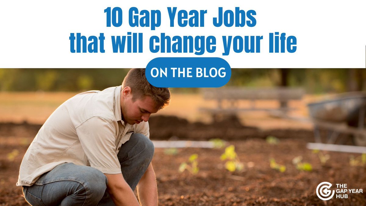 The Gap Year Hub tweet media