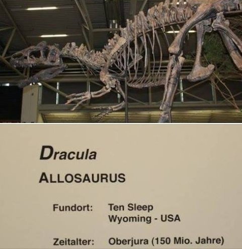 Geology_History's tweet image. November 8, 1847, birthday of Irish author Bram #Stoker, author of #Dracula 🦇🦖