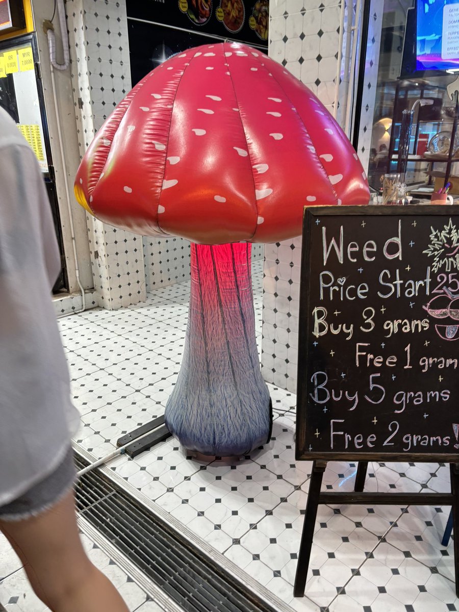 yu_discovery's tweet image. だめなきのこ🍄生えてた
ヒガシシビレダケ的なのが置いてあるのかなぁ?
ここはパタヤのウォーキングストリート
#天然きのこ #きのこ狩り #きのこハンター #タイ #海外旅行