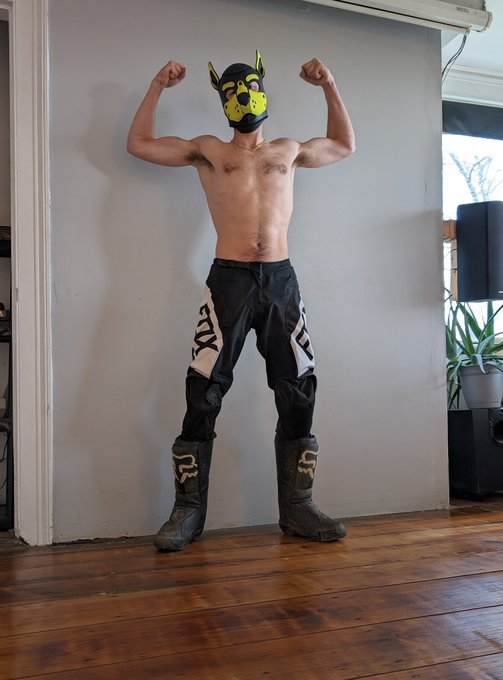 Biker pup Nicwoh is ready to play with you! #Bark #FoxRacing #HeckinWoof https://t.co/cqoYHIezPA<a href="/tag/bark"class="tags">#Bark</a><a href="/tag/foxracing"class="tags"><span>#foxracing</span></a><a href="/tag/heckinwoof"class="tags"><span>#heckinwoof</span></a>