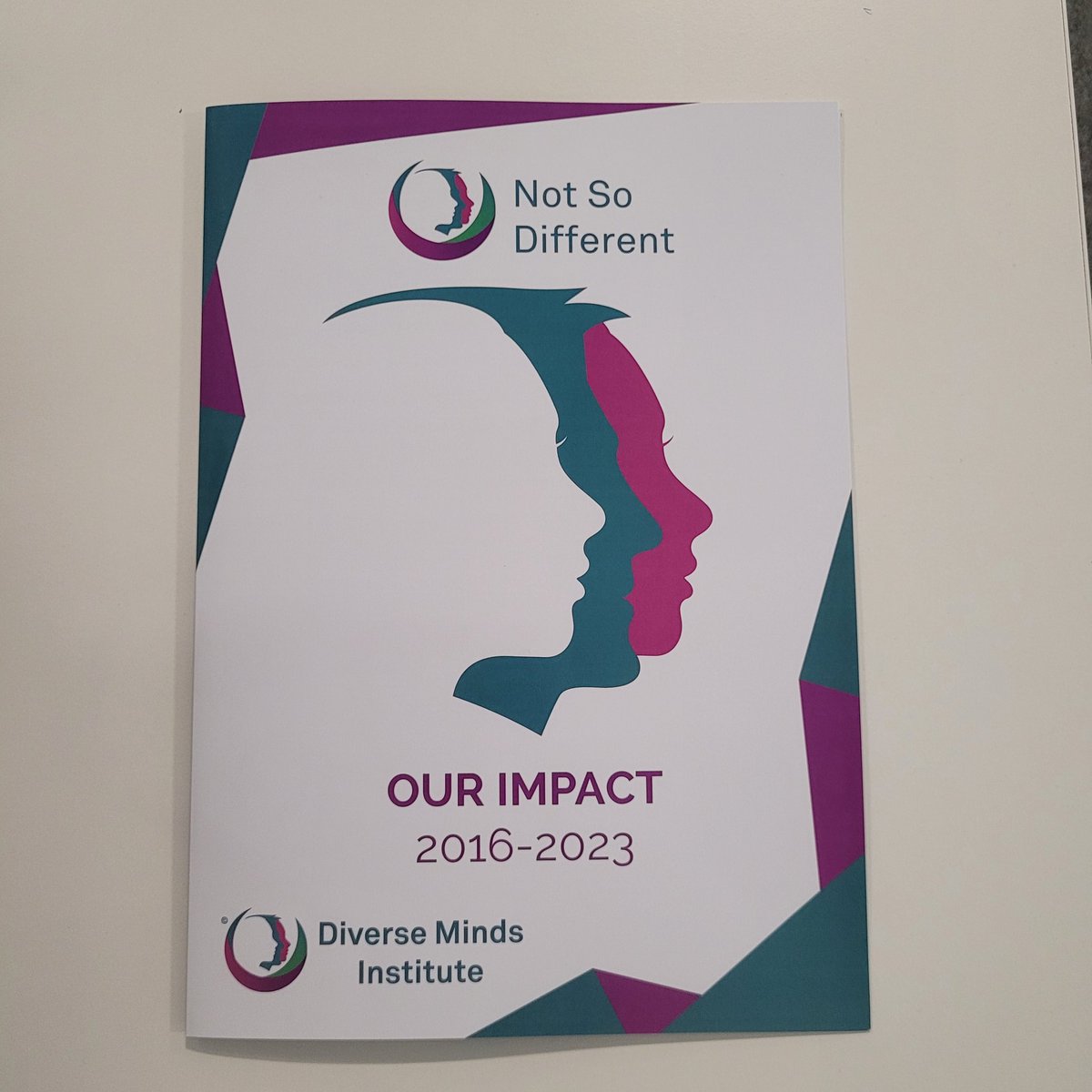 First look at our Impact Report, which launches today at our HQ in Blanchardstown with Minister Jack Chambers #NotSoDifferent #TheDiverseMindsInstitute