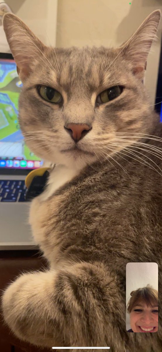 Moe is not happy I’m at KubeCon in Chicago 😂