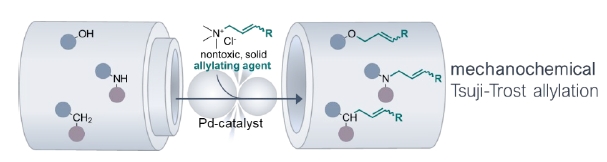 Check out our newest paper "Allylation of C-, N-, and O-Nucleophiles via a Mechanochemically-Driven Tsuji-Trost Reaction Suitable for Late-Stage Modification of Bioactive Molecules" just accepted in Angewandte: doi.org/10.1002/anie.2…