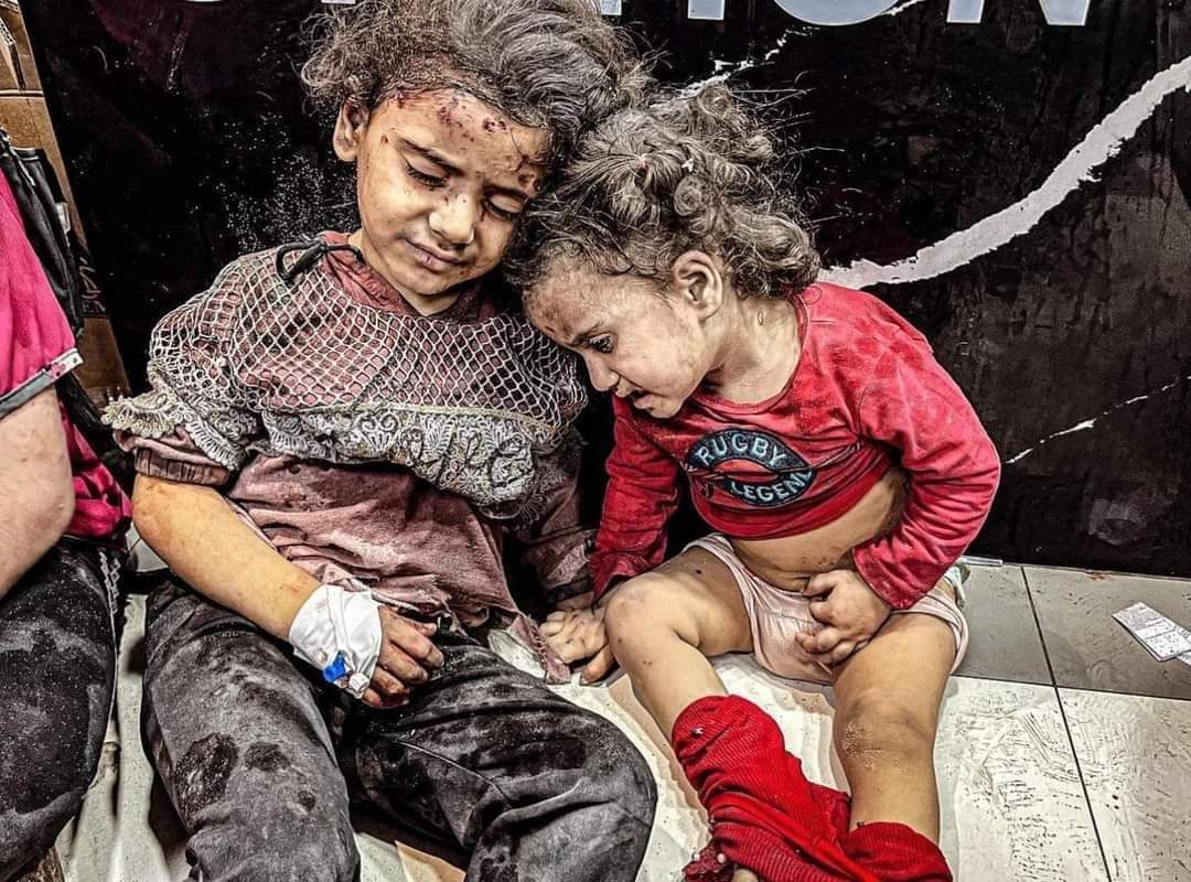 Aya Isleem 🇵🇸 #Gaza tweet media