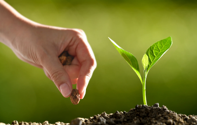 Arcadia has made a major new philanthropic donation to the University of Cambridge, taking its total support for the Endangered Landscapes &amp; Seascapes Programme to over $138 million.
t.ly/4XC0l
