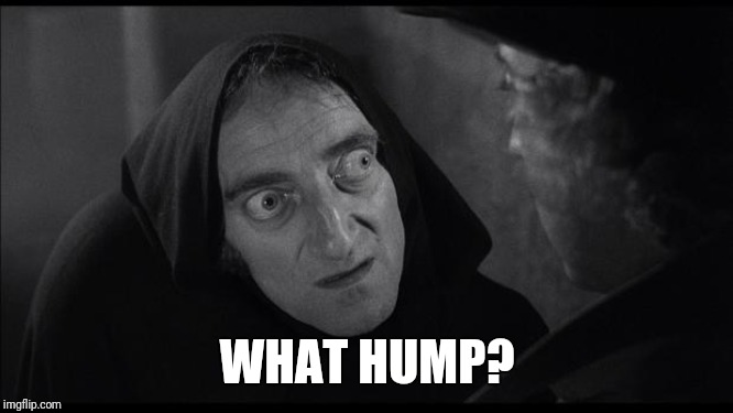 Have a Mean Hump Day! 🤔😏#Wednesdayvibe #HumpDay #HumpDayVibe #youngfrankenstein