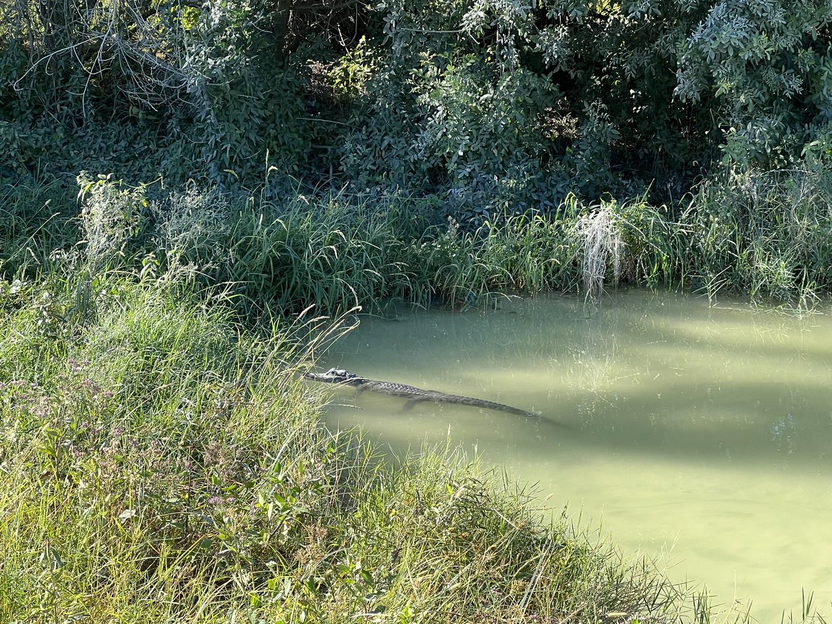 Beautiful day at our Alico facility- thank you for hosting our sales team for a safety walk around and site visit <a href="/ClintTroyer/">Clint Troyer</a> <a href="/CIdsardi/">Chris Idsardi</a>