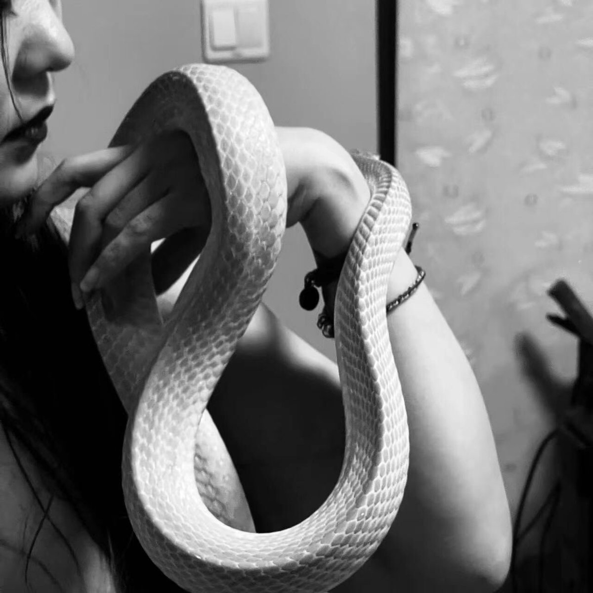 蜕下束缚的外衣
为了更好的成长