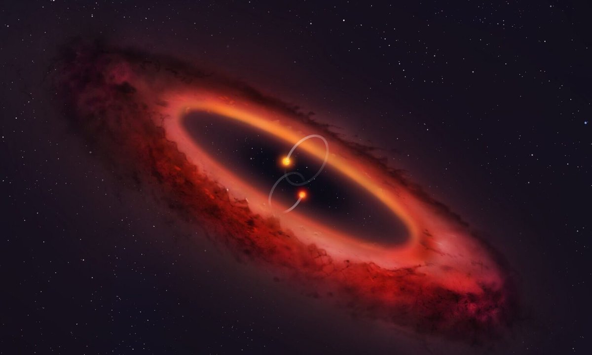 Astronomers have uncovered evidence of an #exoplanet in a circumbinary disk around a binary star. This disk is in a polar configuration. That means the exoplanet moves around its binary star in a near-polar orbit 🪐 Learn more👇 universemagazine.com/en/a-planet-wi…