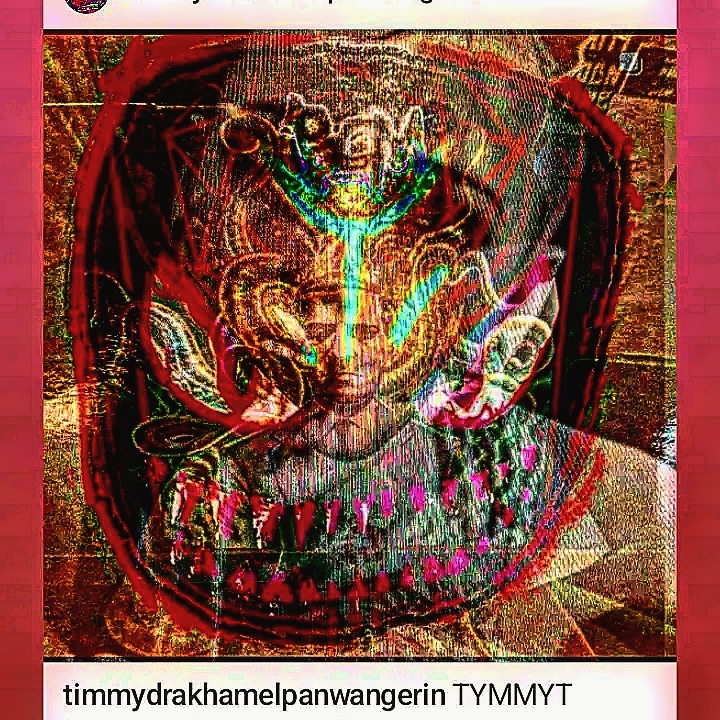 ALLSPORES's tweet image. TYMMYT