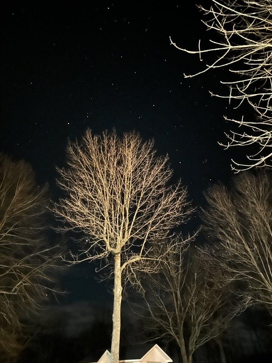 lifeinaloghome's tweet photo. Sometimes the view makes it worth having to get up early with the dogs 
#stars #shareyourweather @weathernetwork https://t.co/t56riZhfpg