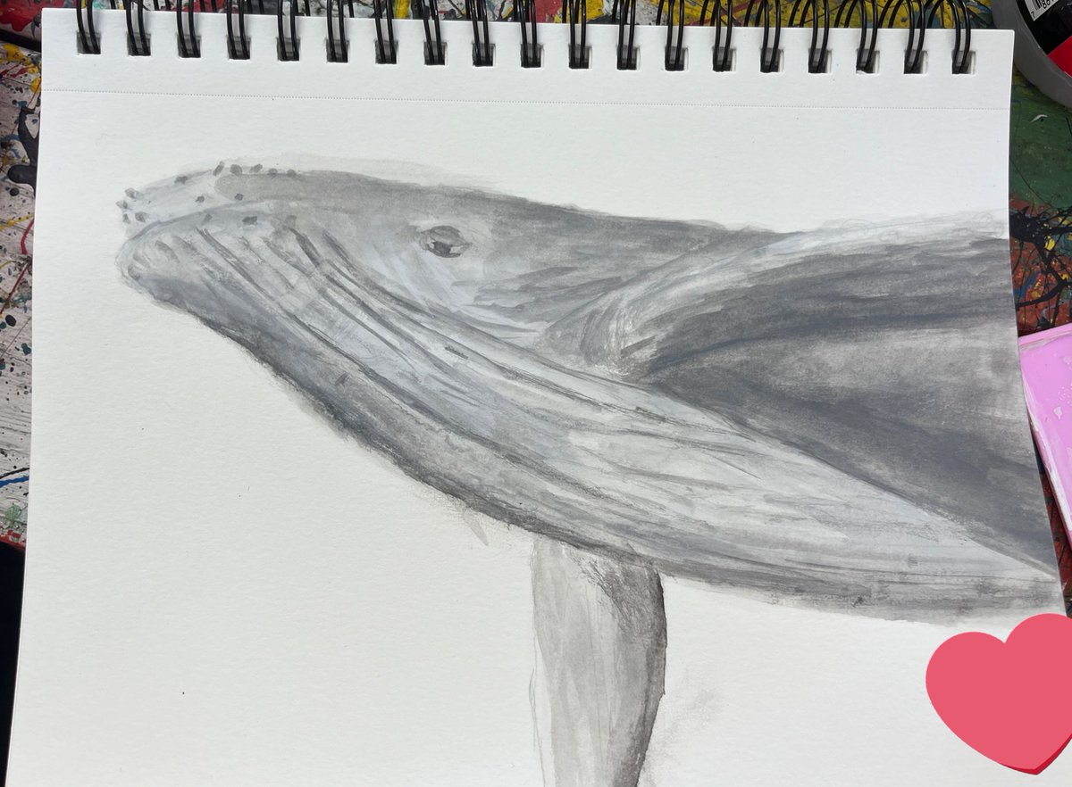 hiii !!! sorry for being so ia 😭
here’s a humpback whale painting from september 🐋🐋🩵🫧
i rly do hope do be active again soon ,, school and everything so busy but !!! hope everyone is well 🤍