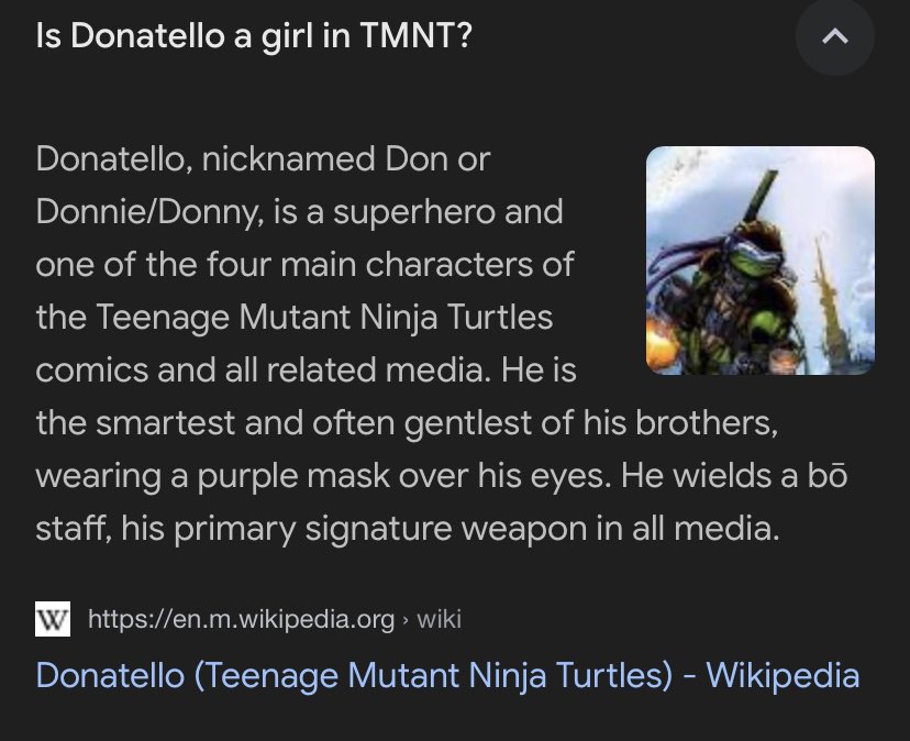 Donatello (Teenage Mutant Ninja Turtles) - Wikipedia