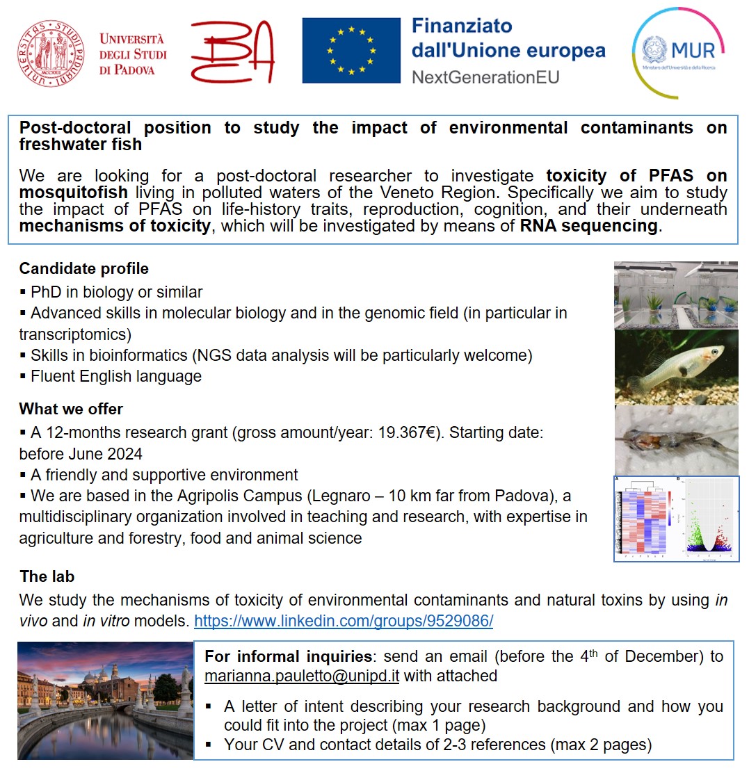📢Position alert 📢 

#postdocposition available at <a href="/UniPadova/">Università di Padova</a> 🇮🇹 to investigate toxicity of #PFAS on #mosquitofish living in polluted waters.🐟🧬

🗓️Expression of interest by 4 Dec 23 

Details below, please RT!

#postdocjobs 
#Biology 

@SETAC_BRANCH_IT