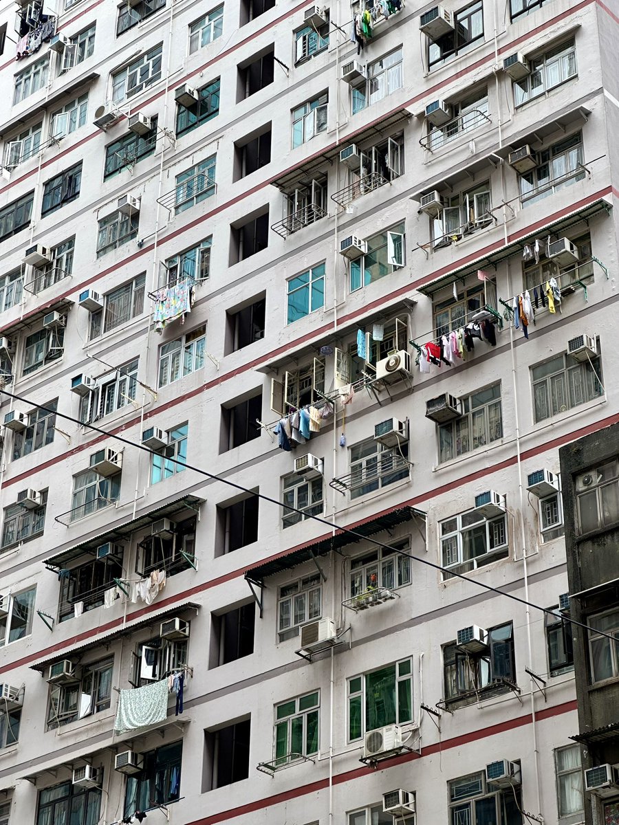 Emma Collins tweet media