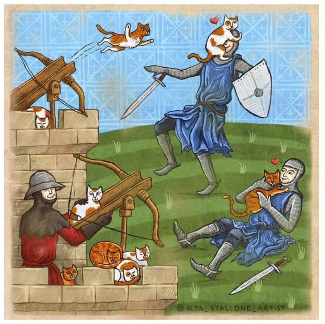 medieval warfare became significantly less devastating after the introduction of the cat-apult