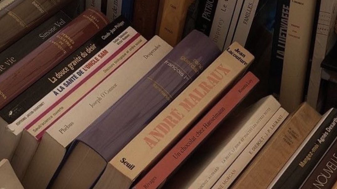 malusokay's tweet photo. Cosy bookstores have my heart 🧸 https://t.co/QpRBIP39Qb