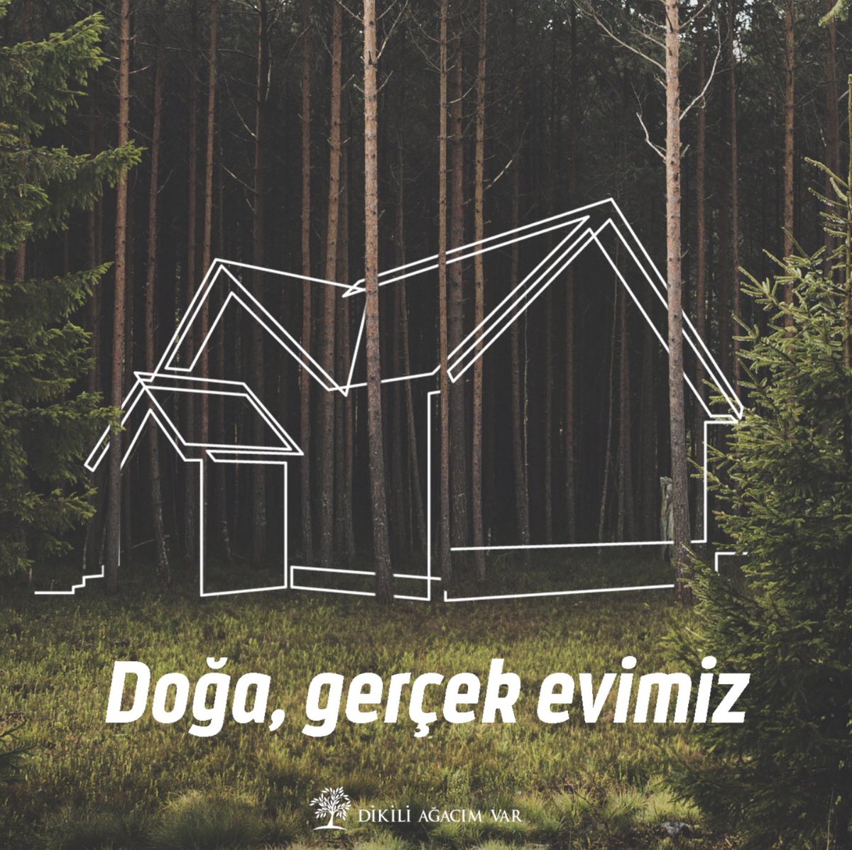 Doğanın, insanın kendi evi olduğuna inanıyoruz. Peki bu gök kubbeli evimizi korumak ve sahiplenmek için her birimiz neler yapıyoruz?

#doğa #doğayıkoru #ağaçdik