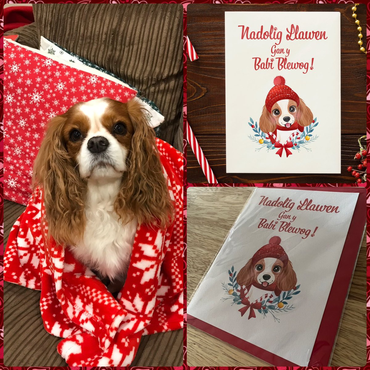 A oes gennych babi blewog yn eich cartref sy’n gyffrous ar gyfer y Nadolig?   Dyma gerdyn Nadolig gan y babi blewog ar werth ar fy siop Etsy, gyda chludiant am ddim! #47diwrnodifynd 

etsy.com/uk/shop/MJPrin…

#yagym <a href="/Cymruwrthgalon/">All things Wales 🏴󠁧󠁢󠁷󠁬󠁳󠁿</a>