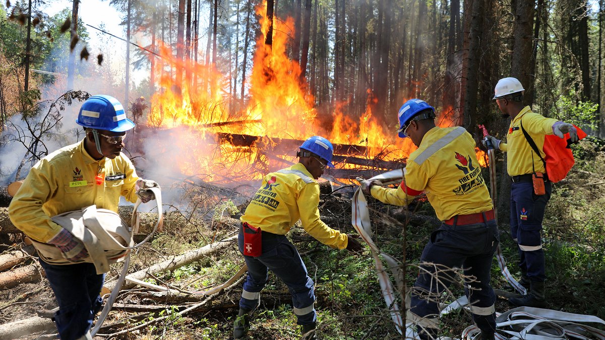 Microsoft’s AI for Good Lab is helping fight wildfires. Learn how the lab’s engineers developed technology for predicting wildfire risk that is now being used by organizations like Alberta Wildfire in their efforts to protect our planet: msft.it/601897M18