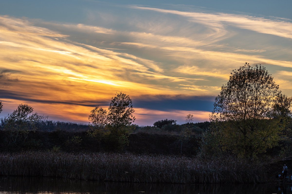 redwhite78's tweet photo. Sunset over the natural park
#landscape #nature #forest #naturalpark #sunset #sky #colours #clouds #vegetation #trees #autumn #outdoor https://t.co/9I2dXAyauR