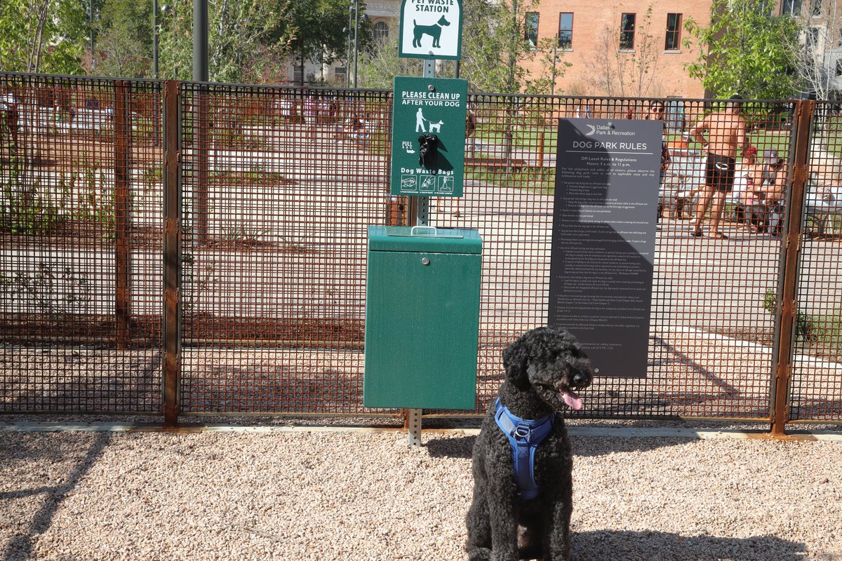 Downtown Dallas Parks Conservancy tweet media