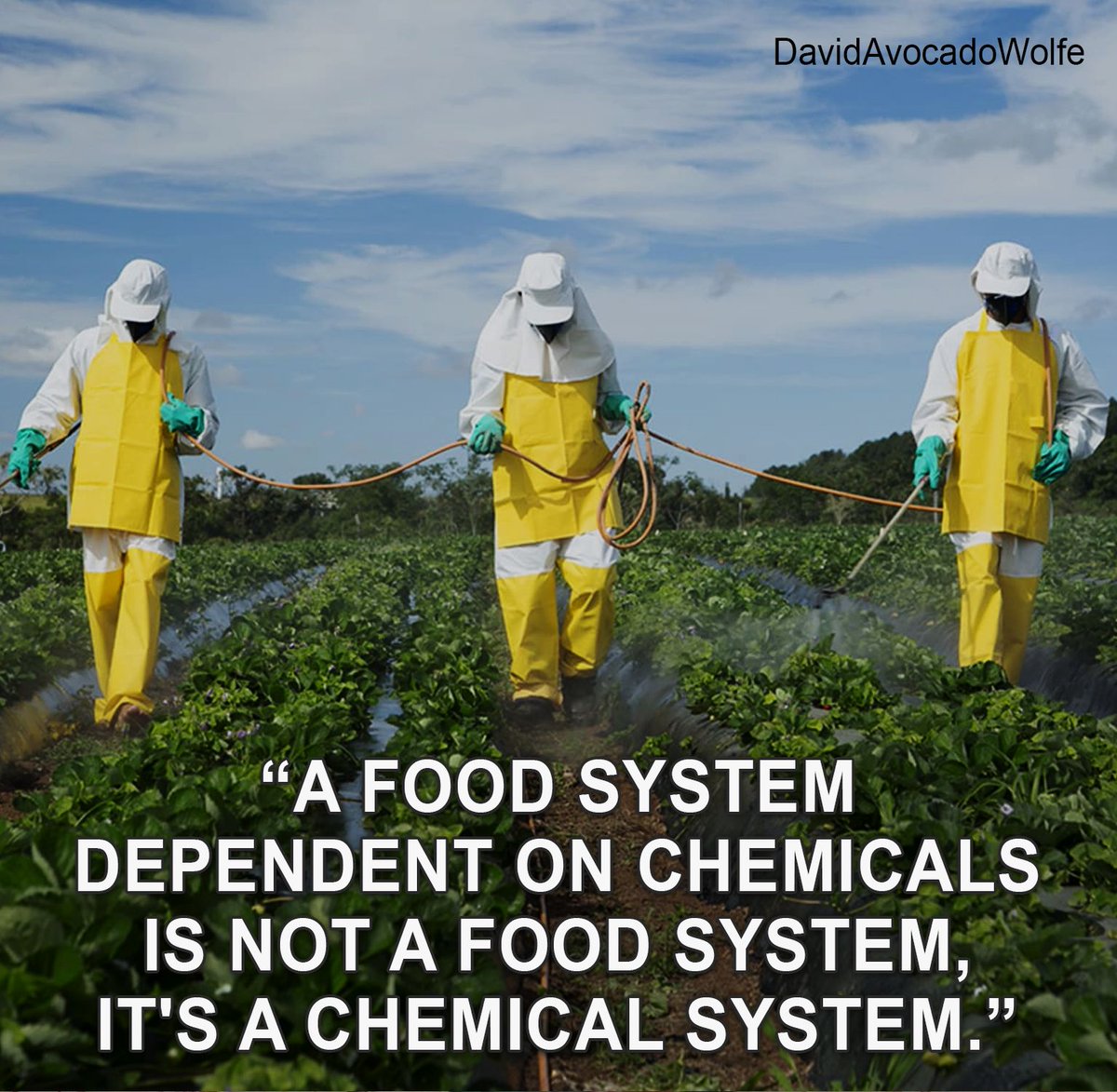 David Wolfe (@davidwolfe) on Twitter photo 