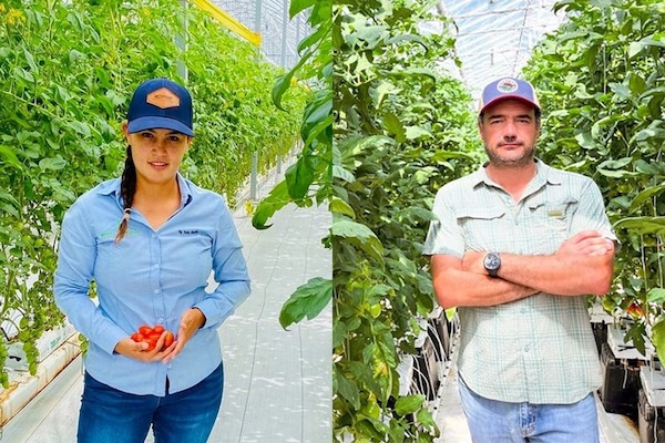 Autonomous Growing: 5% higher yield and new expansion possible @blue_radix 
hortidaily.com/article/957496…