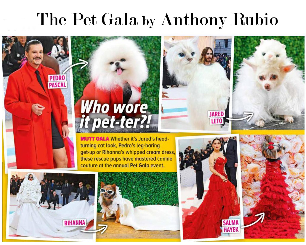 Breaking!
The theme for the 2024 #MetGala has just been announced.

Preparations for the 2024 #PetGala by Anthony Rubio are already underway. This will be my biggest production ever!

The theme for the 2024 Met Gala will be ‘Sleeping Beauties: Reawakening Fashion.