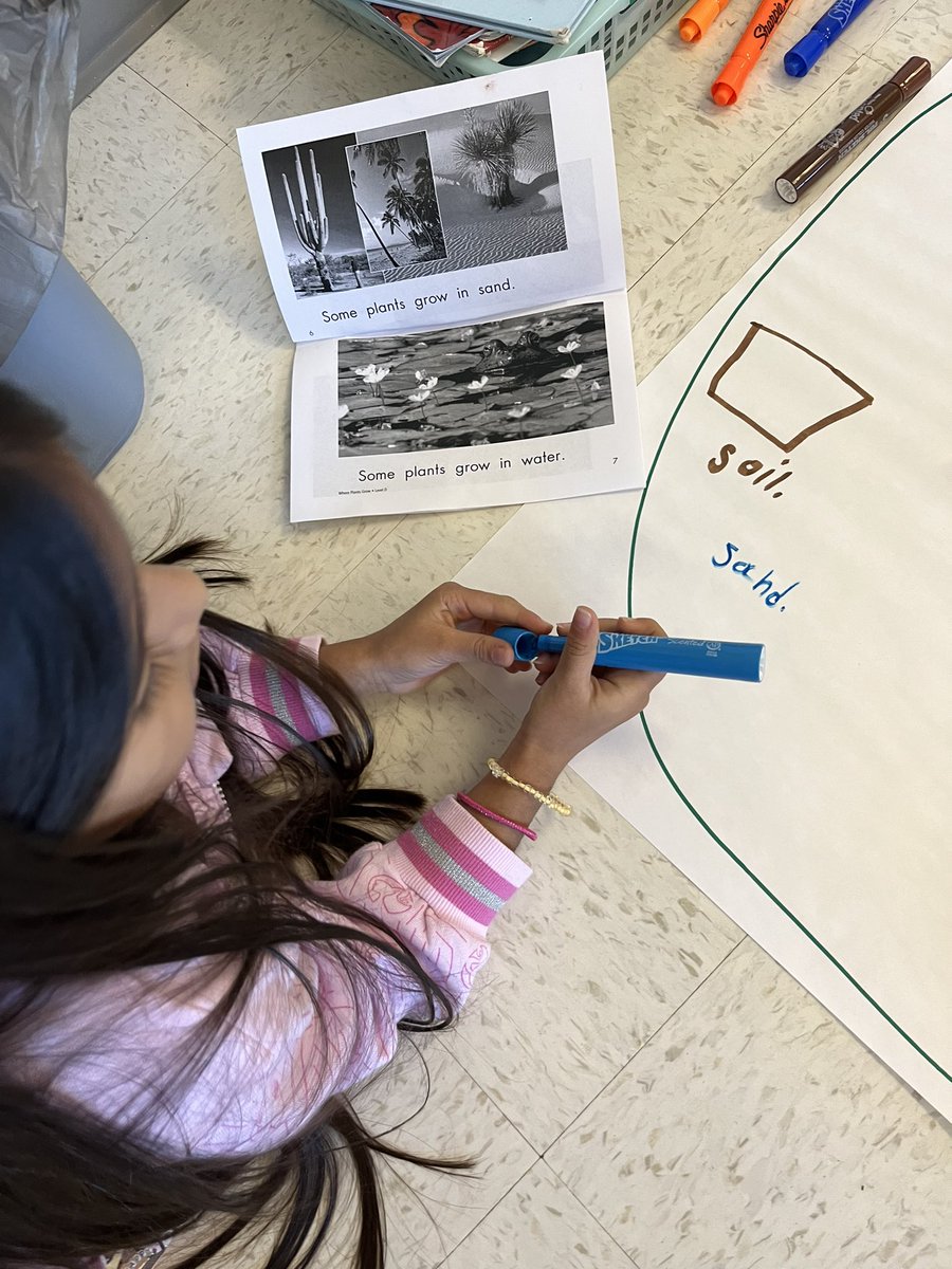 Beth Williams tweet media