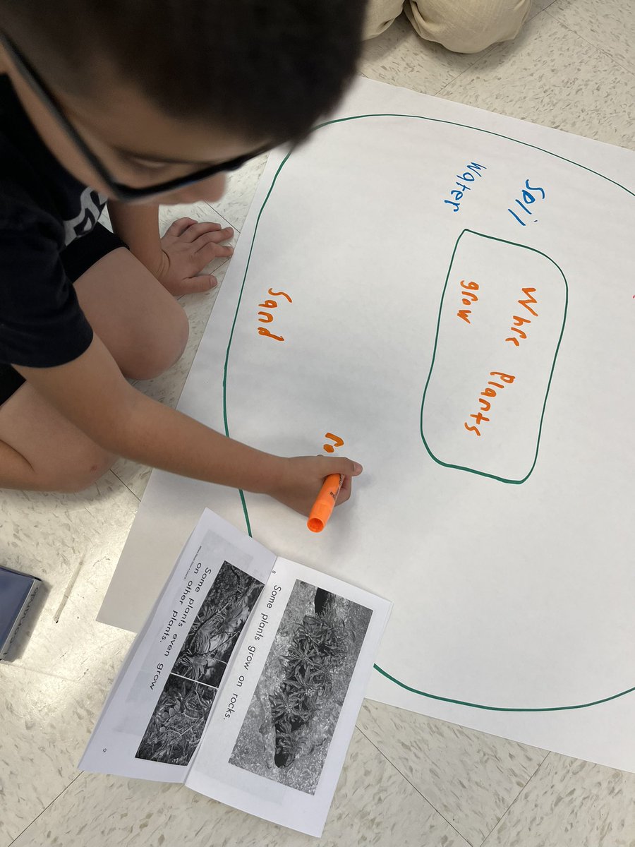 Beth Williams tweet media