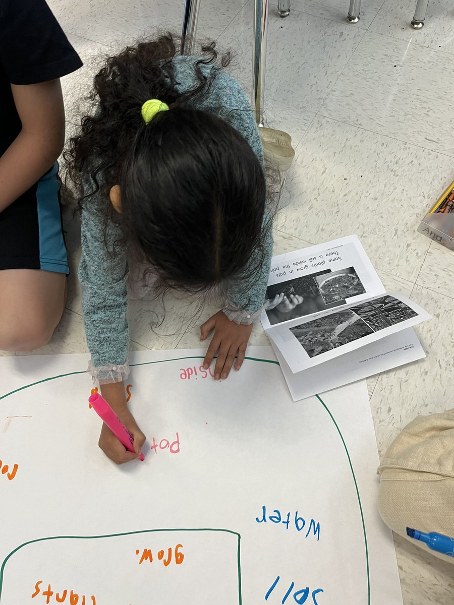 Beth Williams tweet media