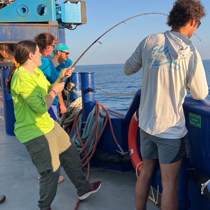 glaspielab's tweet photo. Check out our other social media accounts here! https://t.co/KzapkcQdzF⁠
⁠
#lsu #lsucce #LUMCON #gulfofmexico #louisiana #marinescience #oceanography #marinebiology #gulfhypoxia #glaspielab #glaspielab_outro #glaspielab_photo @lsu_cce @lsuresearch @lsu⁠ https://t.co/lfXcga9JlB