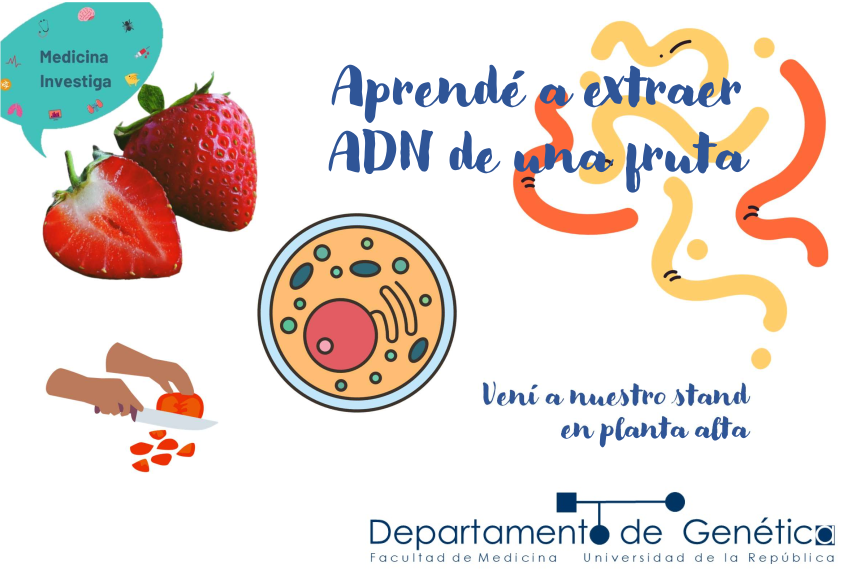 Unidad Académica de Genética (@geneticafmed) on Twitter photo ¿Te lo vas a perder?...
📆 Viernes 10 Noviembre
⏰10 a 17 hrs
📍Planta alta, Facultad de Medicina (Gral. Flores 2125)
<a href="/fmed_divulga/">fmed_divulga</a> ¿Te lo vas a perder?...
📆 Viernes 10 Noviembre
⏰10 a 17 hrs
📍Planta alta, Facultad de Medicina (Gral. Flores 2125)
<a href="/fmed_divulga/">fmed_divulga</a>